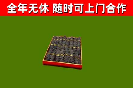 微山烟酒回收海参.jpg